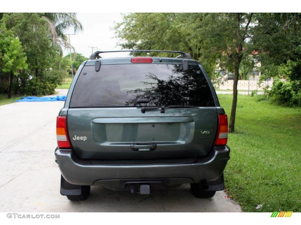 2004 Grand Cherokee Limited 4x4 - Onyx Green Pearl / Taupe photo #8