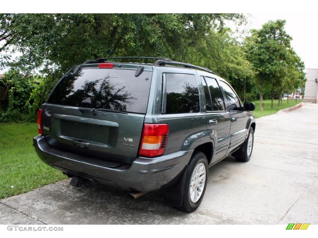 2004 Grand Cherokee Limited 4x4 - Onyx Green Pearl / Taupe photo #9