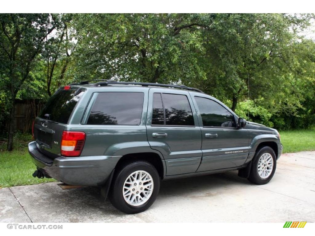 2004 Grand Cherokee Limited 4x4 - Onyx Green Pearl / Taupe photo #10