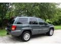 2004 Onyx Green Pearl Jeep Grand Cherokee Limited 4x4  photo #10