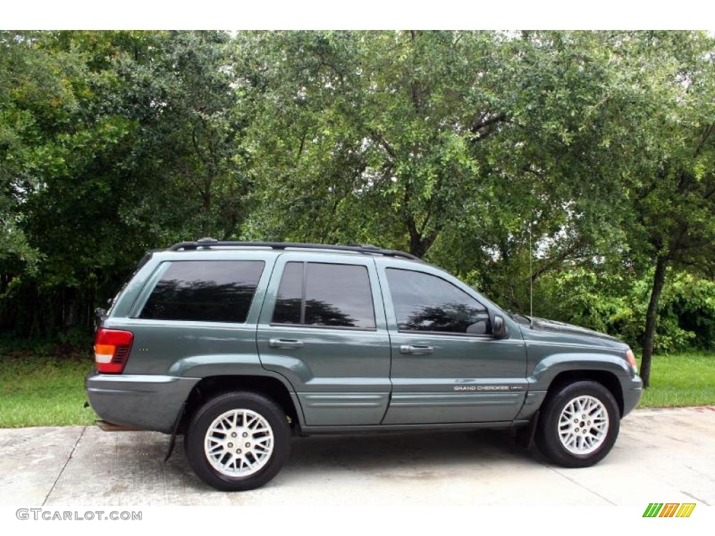 2004 Grand Cherokee Limited 4x4 - Onyx Green Pearl / Taupe photo #11