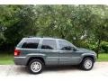 2004 Onyx Green Pearl Jeep Grand Cherokee Limited 4x4  photo #11
