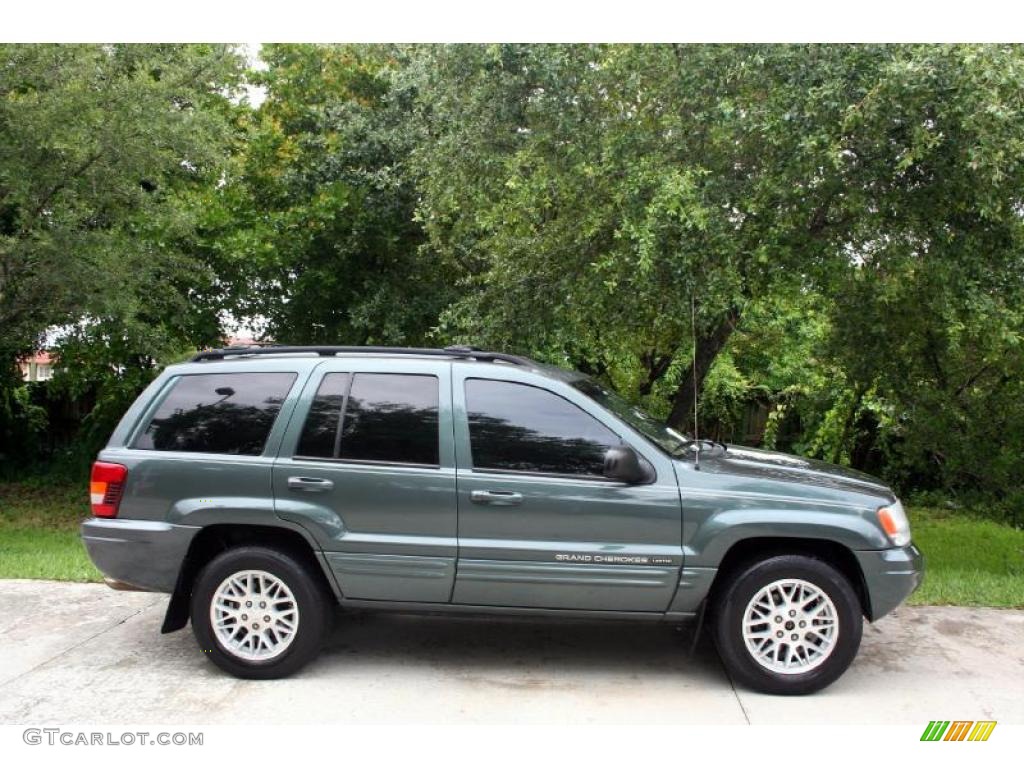 2004 Grand Cherokee Limited 4x4 - Onyx Green Pearl / Taupe photo #12