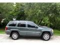 2004 Onyx Green Pearl Jeep Grand Cherokee Limited 4x4  photo #12