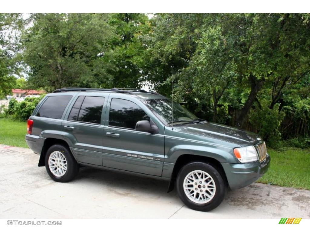 2004 Grand Cherokee Limited 4x4 - Onyx Green Pearl / Taupe photo #13