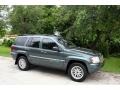 2004 Onyx Green Pearl Jeep Grand Cherokee Limited 4x4  photo #13