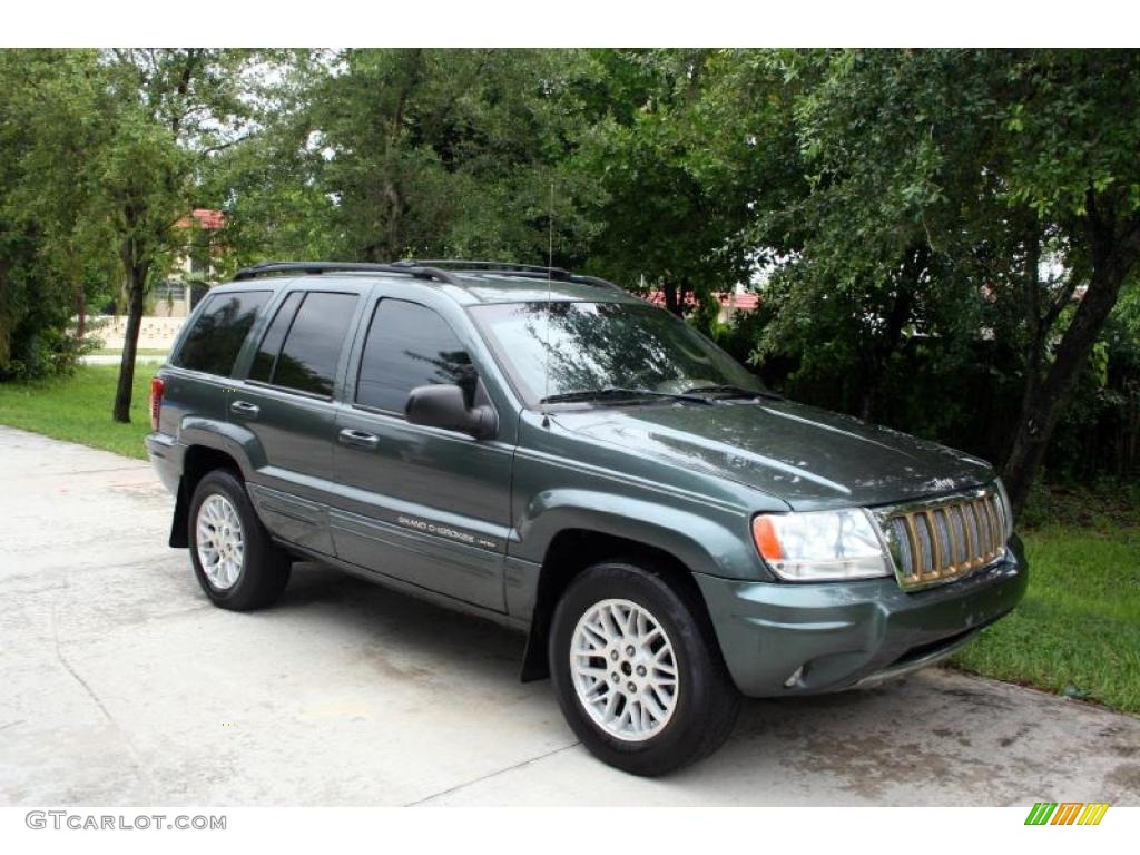 2004 Grand Cherokee Limited 4x4 - Onyx Green Pearl / Taupe photo #14