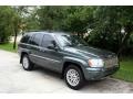 2004 Onyx Green Pearl Jeep Grand Cherokee Limited 4x4  photo #14