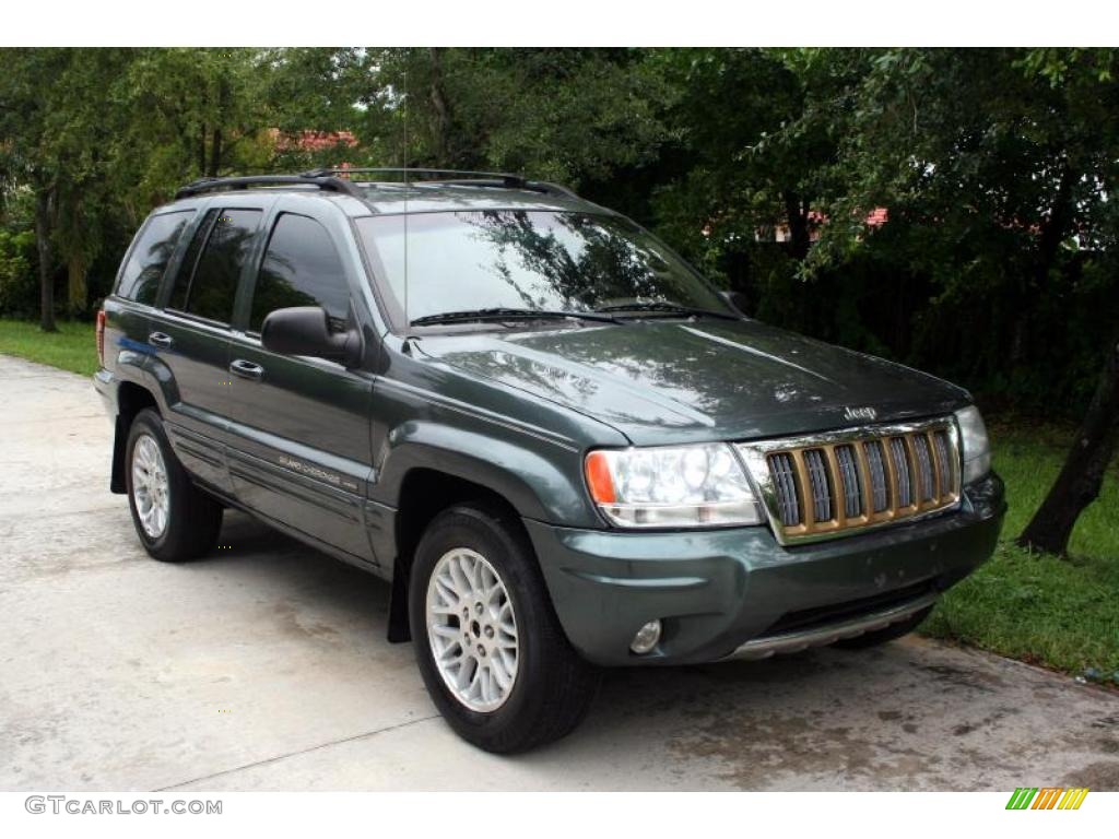 2004 Grand Cherokee Limited 4x4 - Onyx Green Pearl / Taupe photo #15