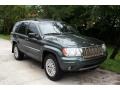 2004 Onyx Green Pearl Jeep Grand Cherokee Limited 4x4  photo #15