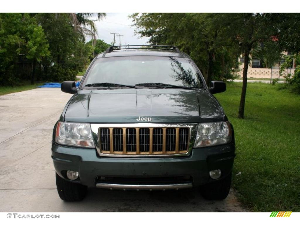 2004 Grand Cherokee Limited 4x4 - Onyx Green Pearl / Taupe photo #16