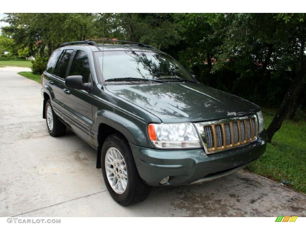 2004 Grand Cherokee Limited 4x4 - Onyx Green Pearl / Taupe photo #17
