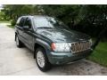 2004 Onyx Green Pearl Jeep Grand Cherokee Limited 4x4  photo #17