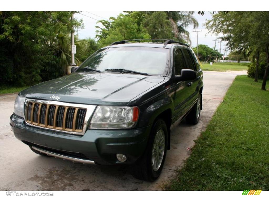 2004 Grand Cherokee Limited 4x4 - Onyx Green Pearl / Taupe photo #18