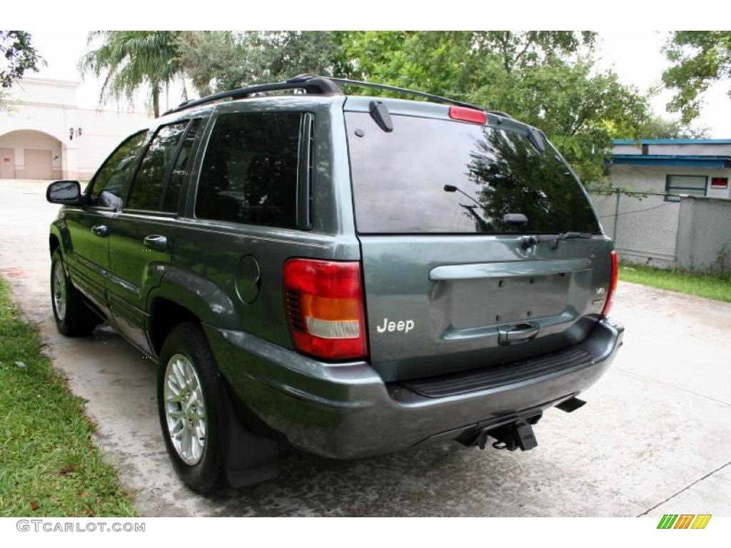 2004 Grand Cherokee Limited 4x4 - Onyx Green Pearl / Taupe photo #19