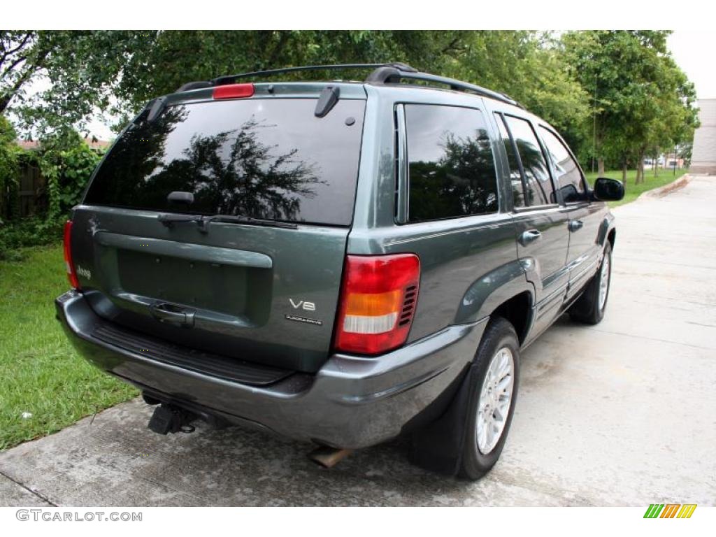 2004 Grand Cherokee Limited 4x4 - Onyx Green Pearl / Taupe photo #20