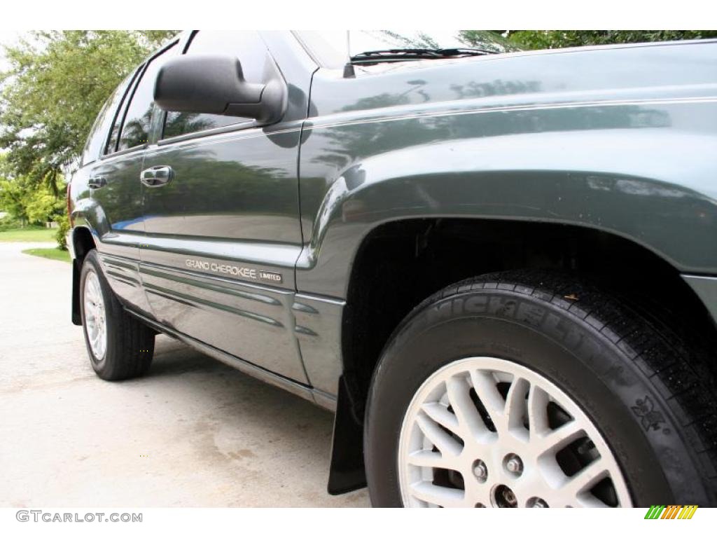 2004 Grand Cherokee Limited 4x4 - Onyx Green Pearl / Taupe photo #21