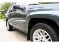 2004 Onyx Green Pearl Jeep Grand Cherokee Limited 4x4  photo #21