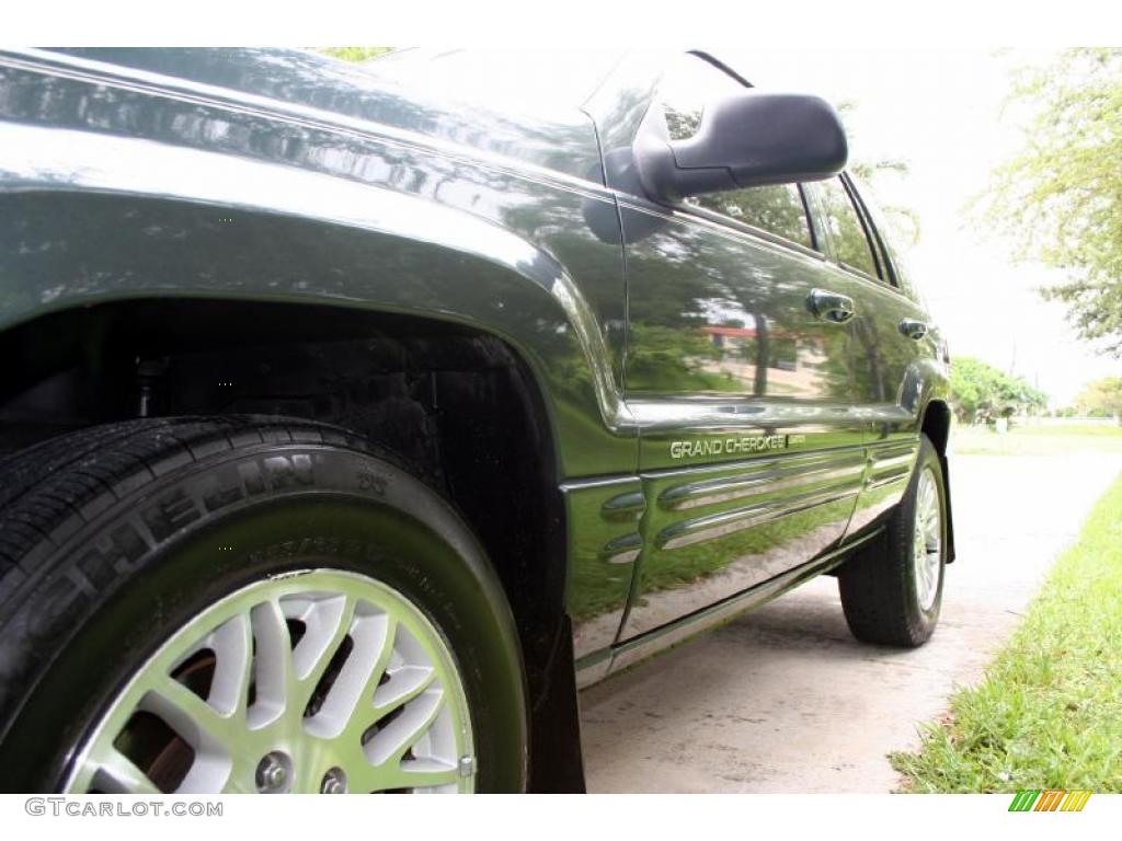 2004 Grand Cherokee Limited 4x4 - Onyx Green Pearl / Taupe photo #22
