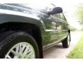 2004 Onyx Green Pearl Jeep Grand Cherokee Limited 4x4  photo #22