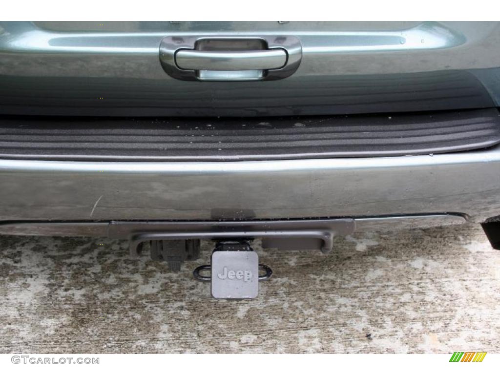 2004 Grand Cherokee Limited 4x4 - Onyx Green Pearl / Taupe photo #28