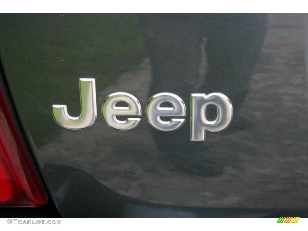 2004 Grand Cherokee Limited 4x4 - Onyx Green Pearl / Taupe photo #33