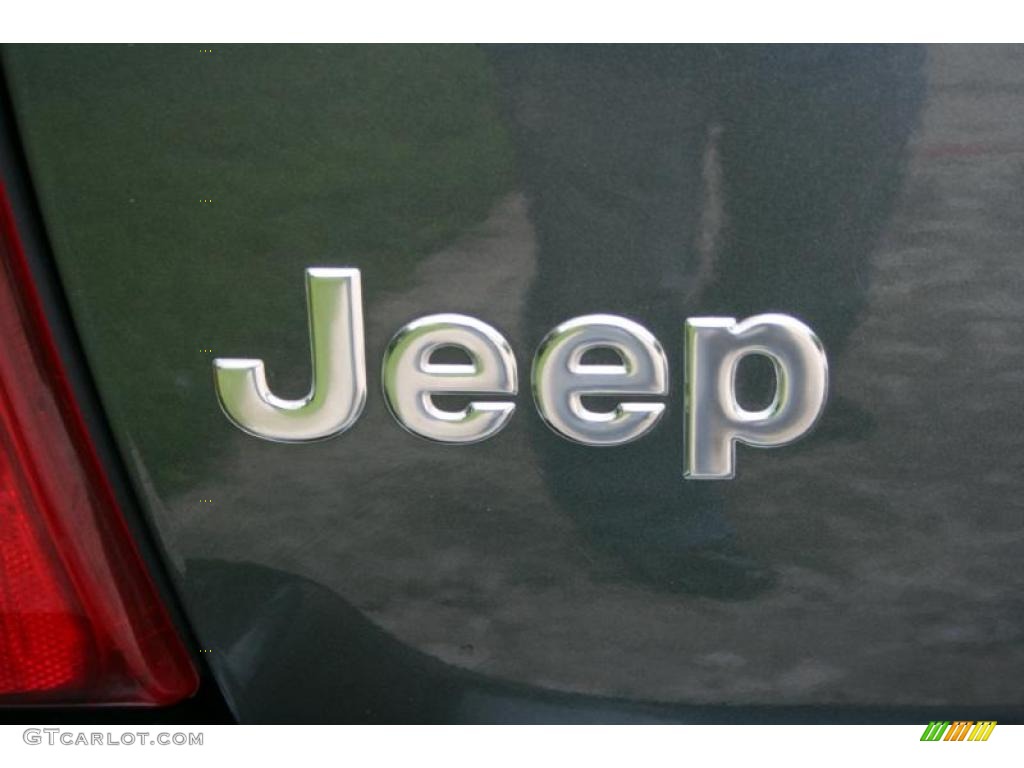 2004 Grand Cherokee Limited 4x4 - Onyx Green Pearl / Taupe photo #34