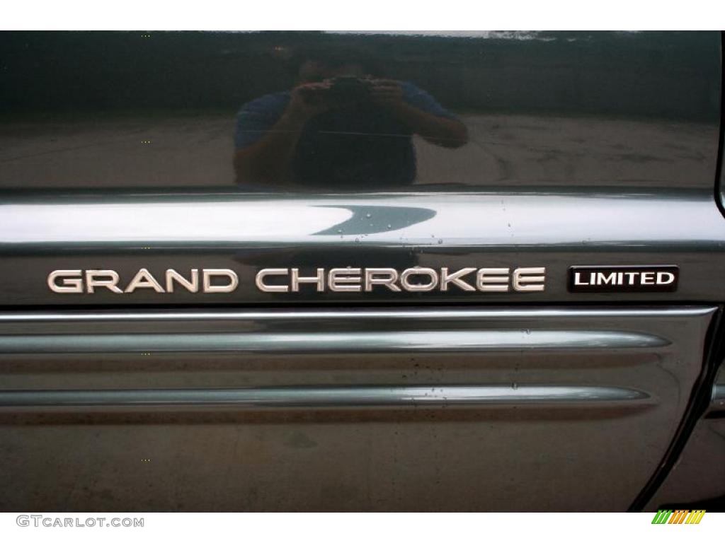 2004 Grand Cherokee Limited 4x4 - Onyx Green Pearl / Taupe photo #46