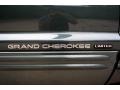 2004 Onyx Green Pearl Jeep Grand Cherokee Limited 4x4  photo #46