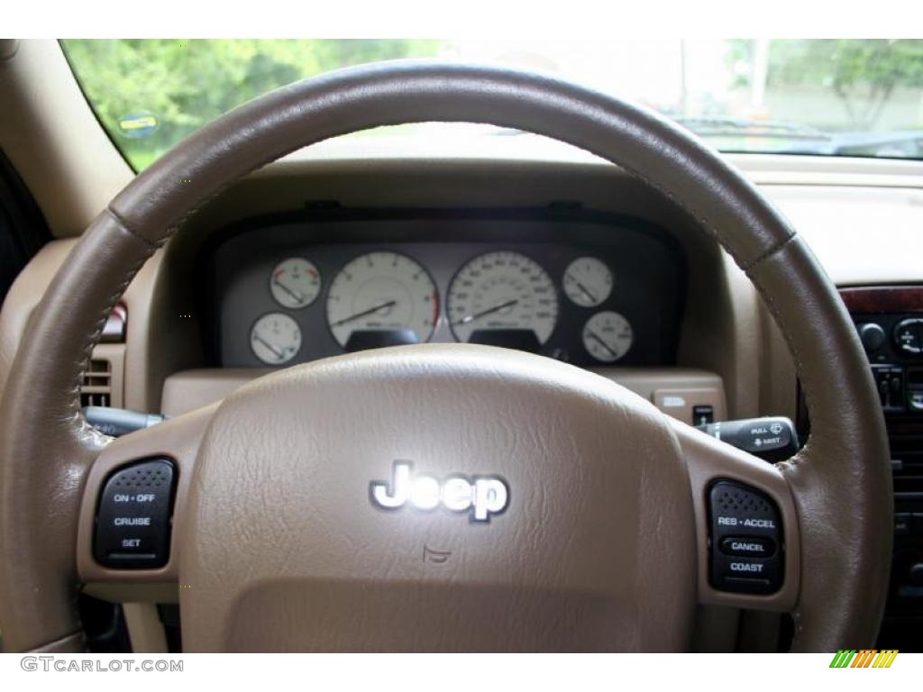 2004 Grand Cherokee Limited 4x4 - Onyx Green Pearl / Taupe photo #75