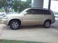 Sonora Gold Metallic - Highlander V6 Photo No. 18