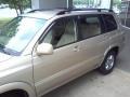Sonora Gold Metallic - Highlander V6 Photo No. 20