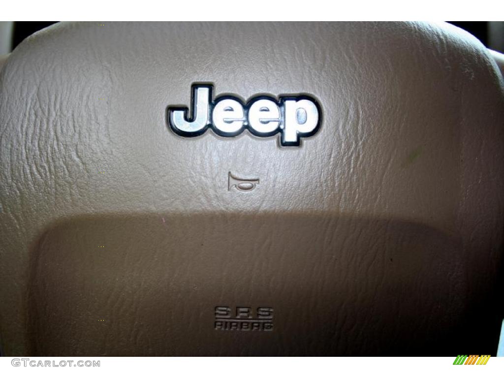 2004 Grand Cherokee Limited 4x4 - Onyx Green Pearl / Taupe photo #95