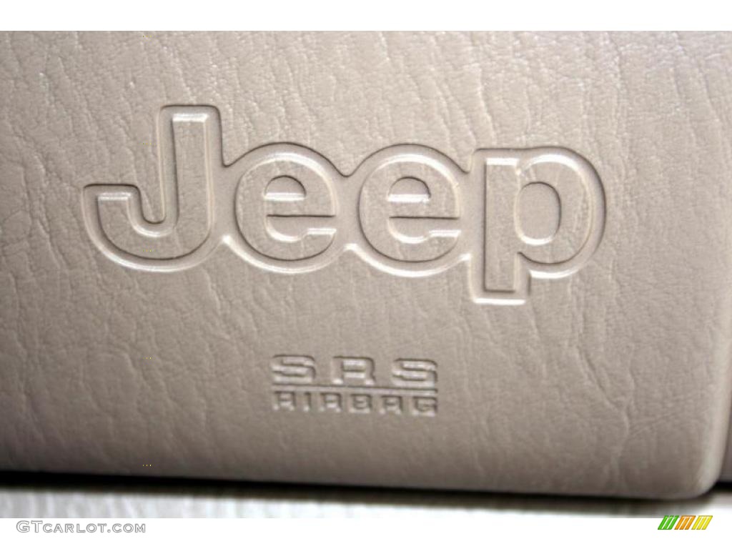 2004 Grand Cherokee Limited 4x4 - Onyx Green Pearl / Taupe photo #96