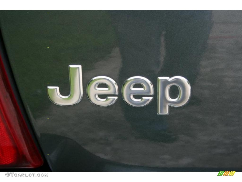 2004 Grand Cherokee Limited 4x4 - Onyx Green Pearl / Taupe photo #109