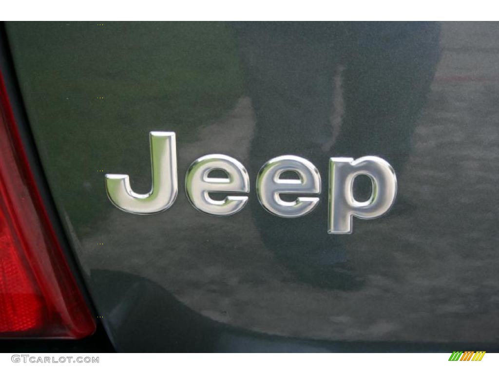 2004 Grand Cherokee Limited 4x4 - Onyx Green Pearl / Taupe photo #110