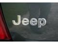 2004 Onyx Green Pearl Jeep Grand Cherokee Limited 4x4  photo #110