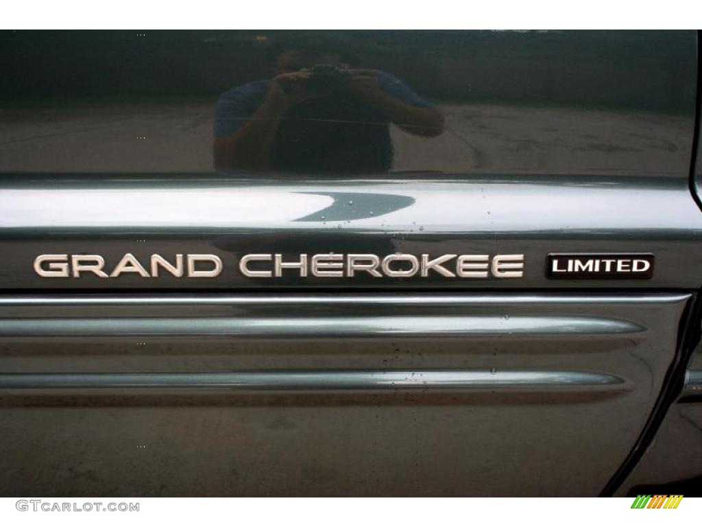 2004 Grand Cherokee Limited 4x4 - Onyx Green Pearl / Taupe photo #111