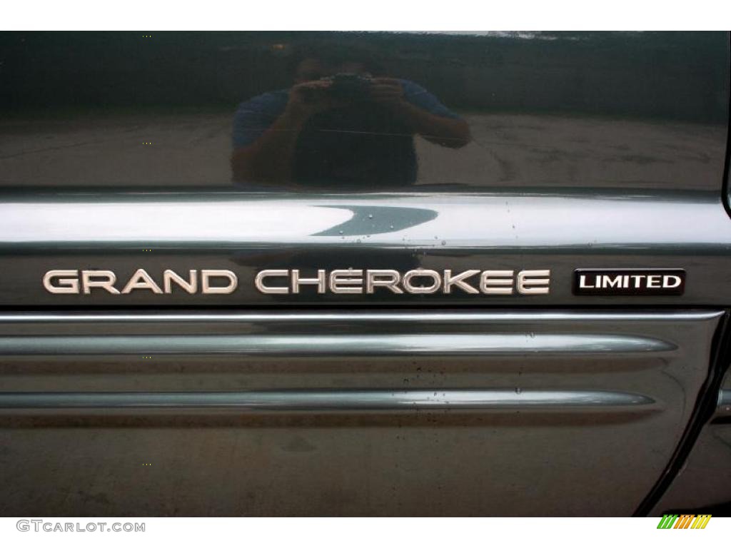 2004 Grand Cherokee Limited 4x4 - Onyx Green Pearl / Taupe photo #112
