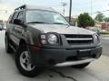 Granite Metallic - Xterra XE 4x4 Photo No. 1