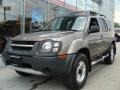 Granite Metallic - Xterra XE 4x4 Photo No. 3