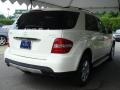 Alabaster White - ML 350 4Matic Photo No. 4