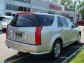 Light Platinum - SRX 4 V6 AWD Photo No. 2