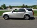 Light Platinum - SRX 4 V6 AWD Photo No. 11