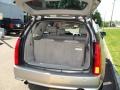 Light Platinum - SRX 4 V6 AWD Photo No. 28