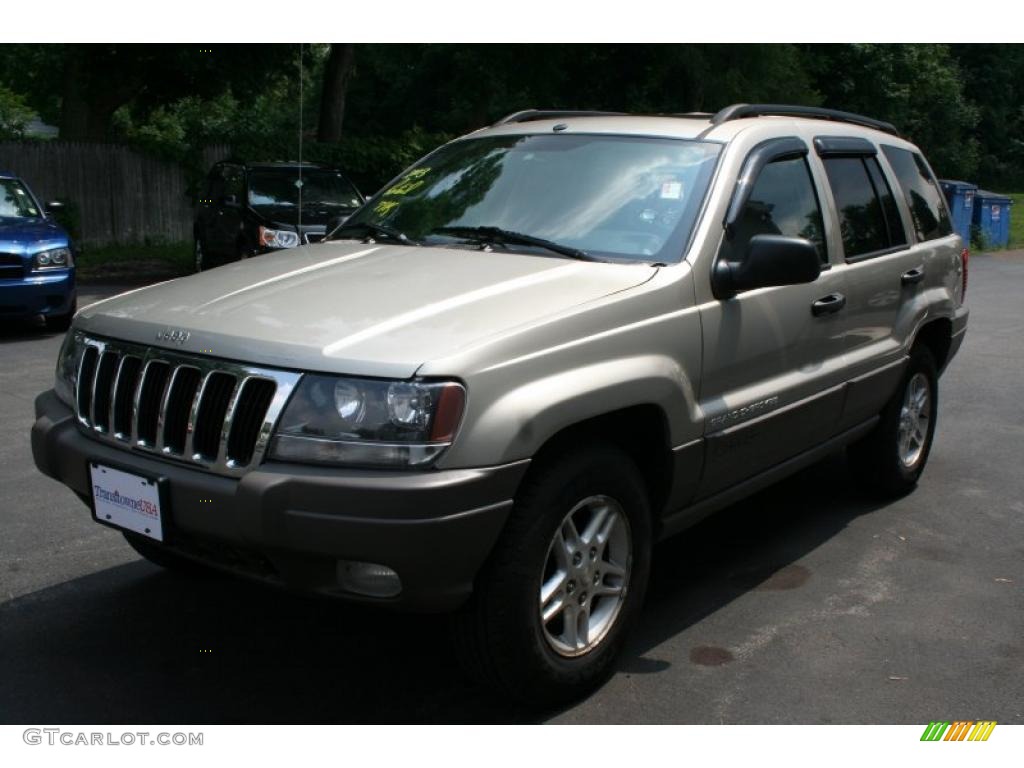 2003 Grand Cherokee Laredo 4x4 - Light Pewter Metallic / Dark Slate Gray photo #1