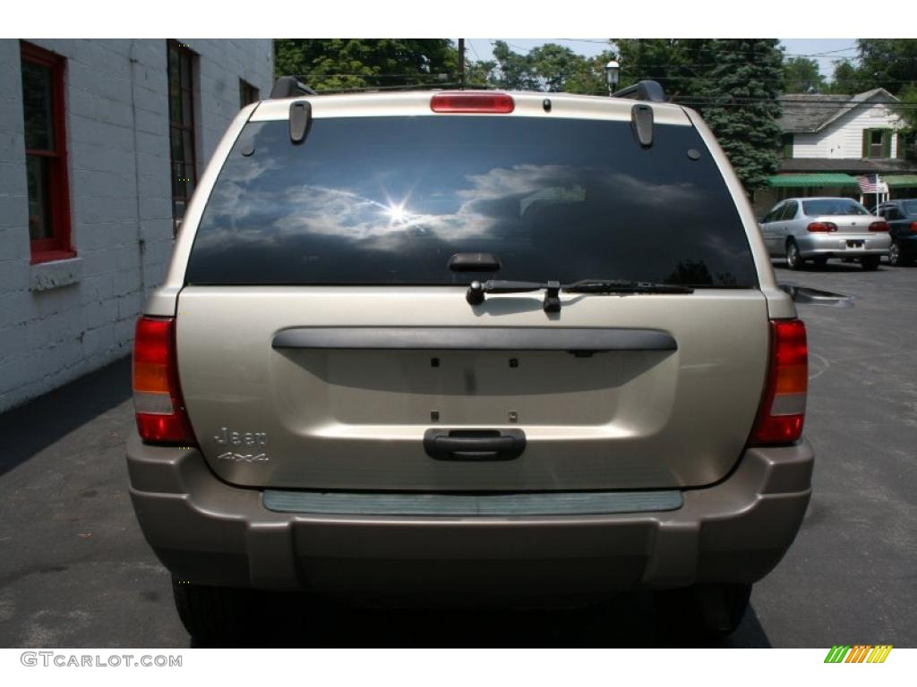 2003 Grand Cherokee Laredo 4x4 - Light Pewter Metallic / Dark Slate Gray photo #4