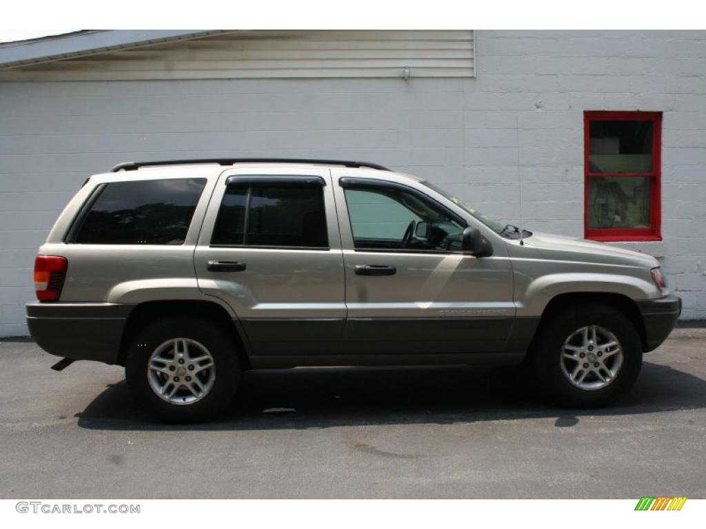 2003 Grand Cherokee Laredo 4x4 - Light Pewter Metallic / Dark Slate Gray photo #6