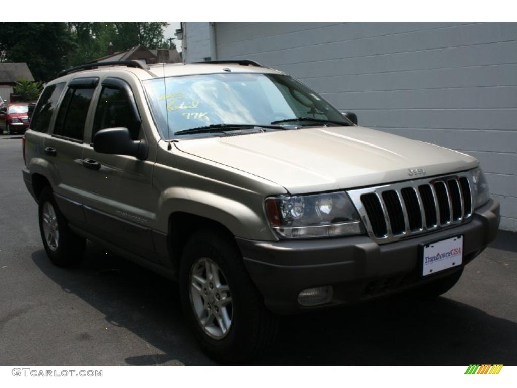 2003 Grand Cherokee Laredo 4x4 - Light Pewter Metallic / Dark Slate Gray photo #8