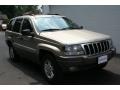 Light Pewter Metallic - Grand Cherokee Laredo 4x4 Photo No. 8